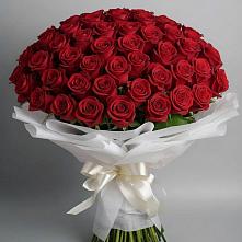 Букет 101 Красная роза Блэк Мэджик #REPLACE_PRED# Зернограде