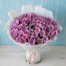 Букет цветов из:  Хризантемы в Зернограде