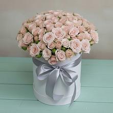 Цветочная композиция из Розы в шляпной коробке #REPLACE_PRED# Зернограде