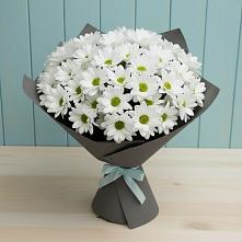 Букет цветов из:  Хризантемы в Зернограде