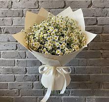 Букет цветов из:  Ромашки в Зернограде