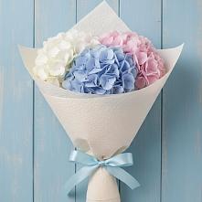 Букет цветов из:  Гортензия в Зернограде