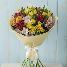 Букет цветов из:  Альстромерии в Зернограде