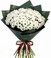 Букет цветов из:  Хризантемы в Зернограде