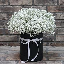 Цветочная композиция из Гипсофила в шляпной коробке в Зернограде