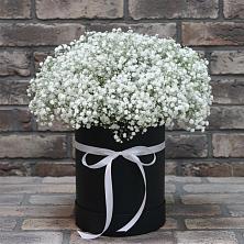 Цветочная композиция из Гипсофила в шляпной коробке в Зернограде