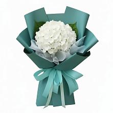 Букет цветов из:  Гортензия в Зернограде